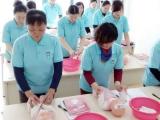 鑲插甯腑绱氬煿瑷�